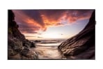 Samsung PM43F 43" PMF Full HD LED Display