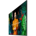 Samsung QM50C 50" (Repeat)
