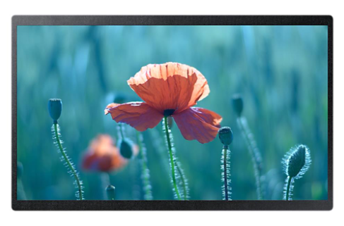 Samsung QB24R-B 24” Flat Panel Smart Digital Signage