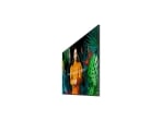 Samsung QM55C 55" (Repeat)